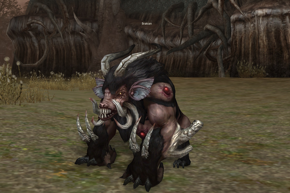 Brakian eternal